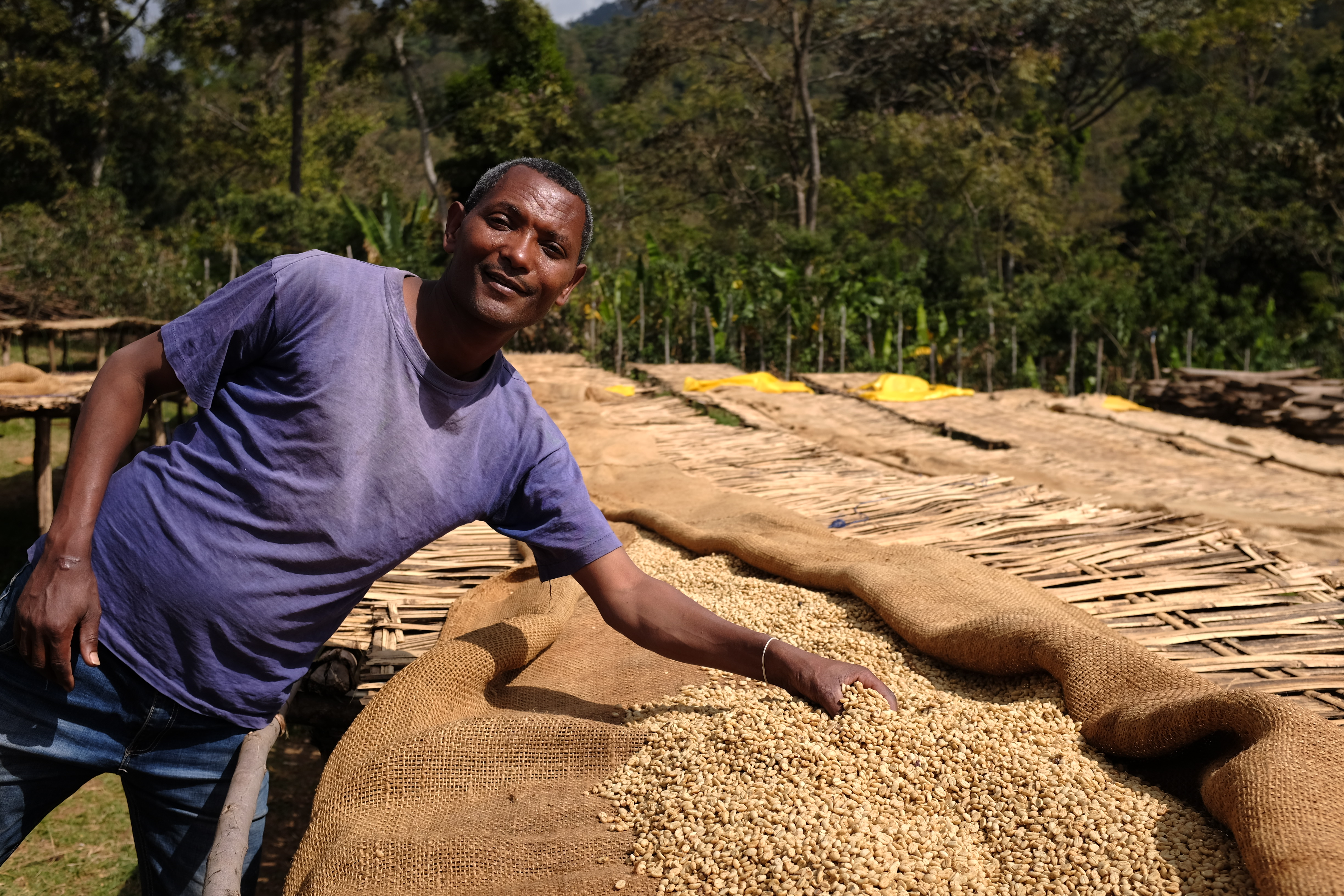 Yasu, manager of Reko Koba mill in Kochere, Ethiopia, proudly displays his experimental honey processed lot as it dries on the tables.