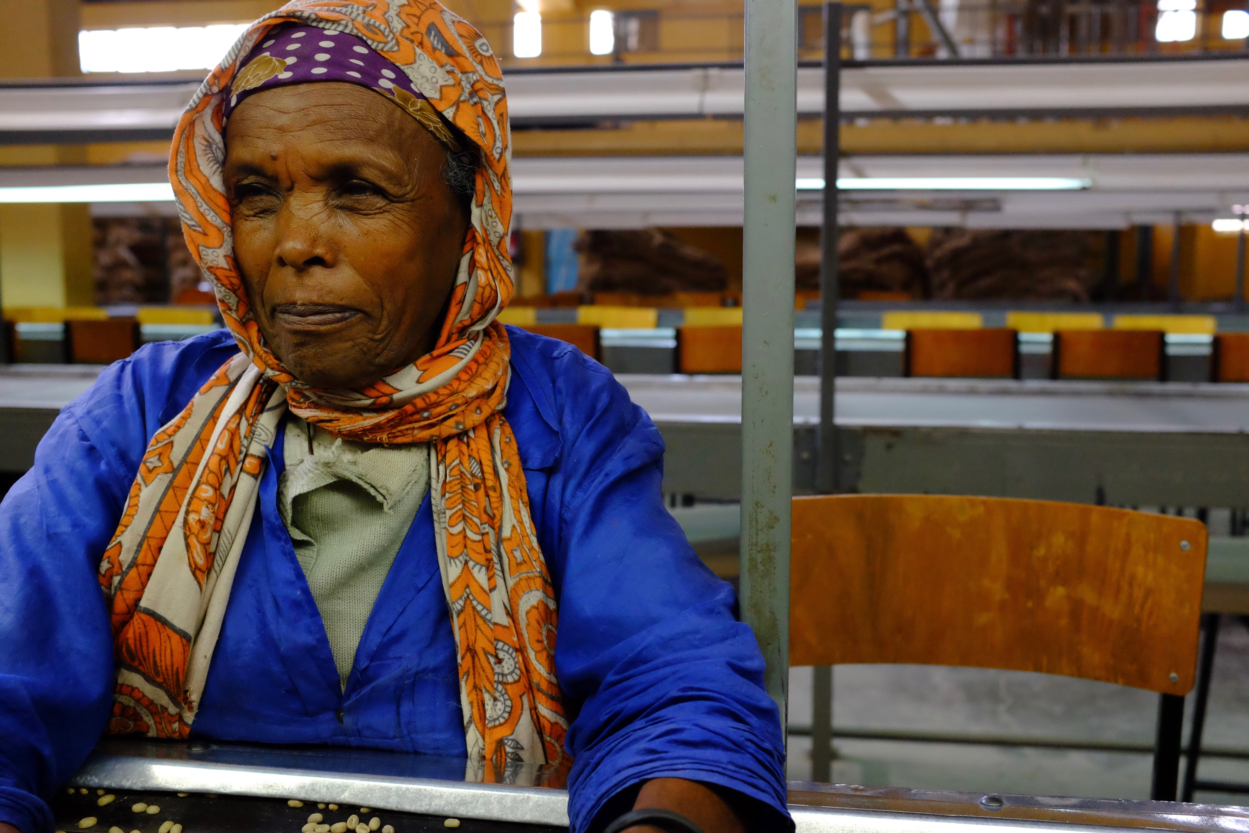 A woman visually inspects the hulled beans for defects at an Ethiopian export warehouse.