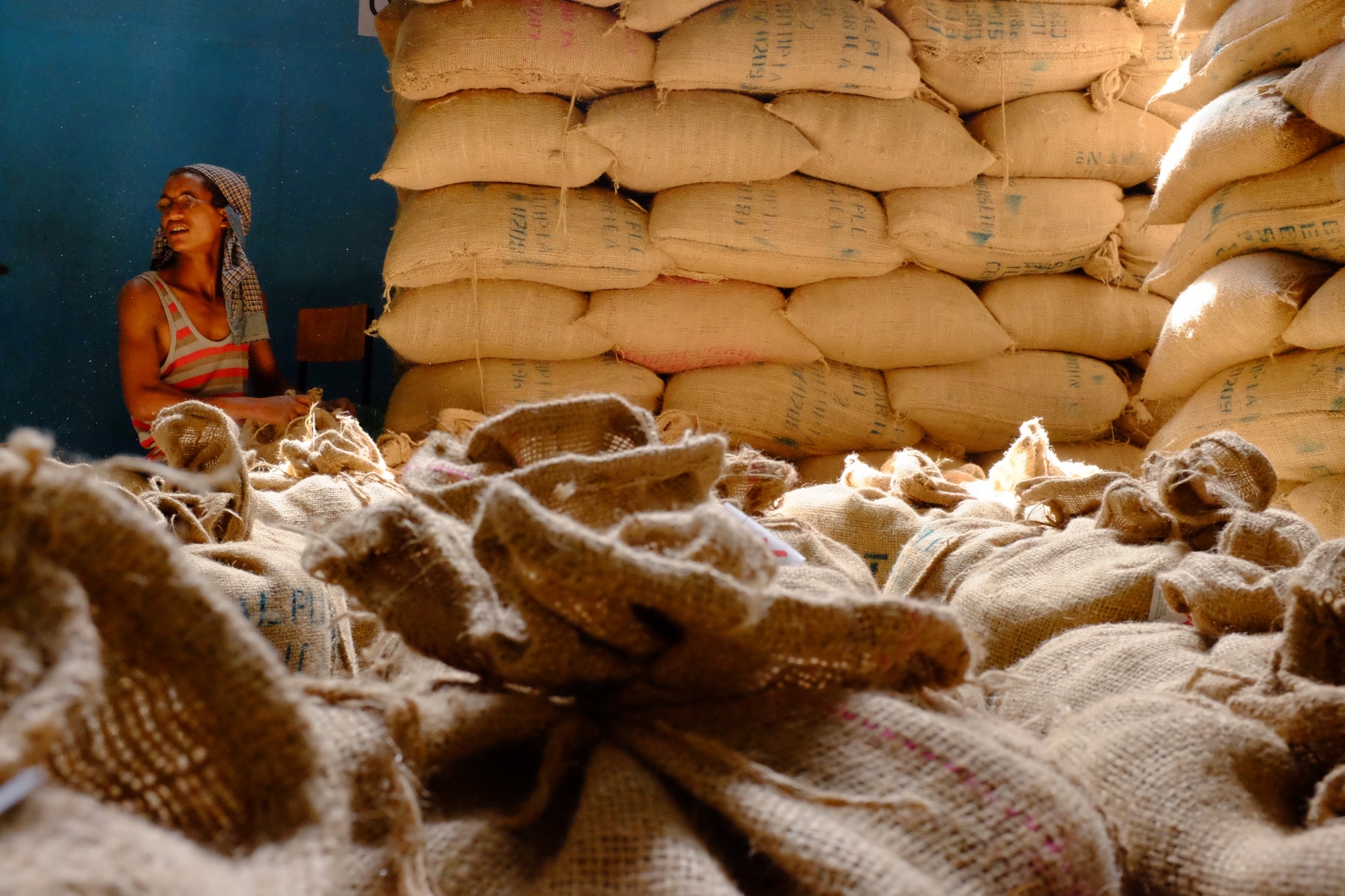 Bags of coffee being packed in an Addis Ababa export warehouse, to be shipped to the port of Oakland. 