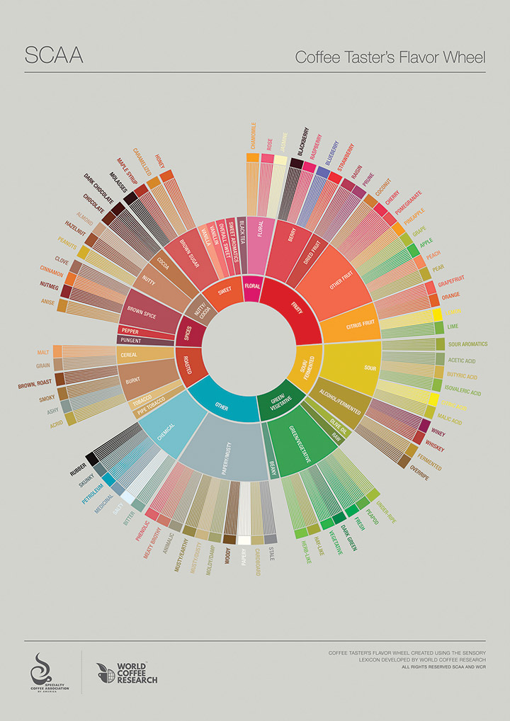 The SCAA Coffee Taster’s Flavor Wheel