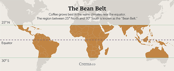 Coffee grows best in the warm climates near the equator from 25° North to 30° South, known as the bean belt.